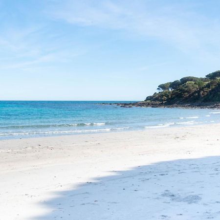 I Pini Di Fuile 'E Mare Apartment Orosei Luaran gambar